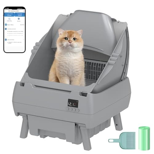 Automatic Cat Litter Box Self Cleaning - APP Control, Open-Style Design, Smart Health Monitor, Suitable for Medium Cats and Kittens, Safe Anti-Pinch, Quiet, A Lifelong Companion - Grey - Image 1