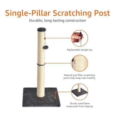 Amazon Basics Cat Scratcher - Indoor Classic Single Cat & Kittens Scratching Post, Medium (31.5"H) - Grey - Image 2