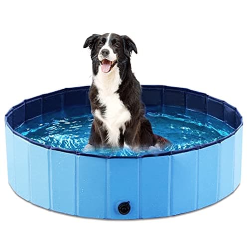 Jasonwell Foldable Dog Pool Collapsible Hard Plastic Dog Swimming Pool Portable Kiddie Pool Pet Pool Doggie Wading Pool Bath Tub for Puppy Small Medium Large Dogs Cats and Kids 39.5" - Image 1