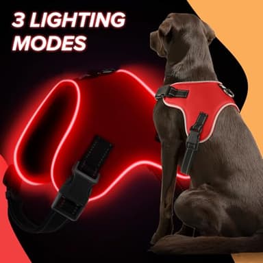 Pewkim Light Up Dog Harness, Led No-Pull Reflective Dog Vest, Breathable Adjustable Pet Harness with Handle for Outdoor Walking - No More Pulling, Tugging or Choking (Red, S) - Image 2