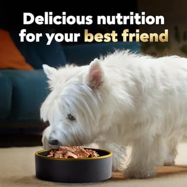 Cesar Wet Dog Food Classic Loaf in Sauce, Steak and Chicken Lovers Variety Pack with Real Meat or Real Chicken, 3.5 oz. Easy Peel Trays (36 Count, Pack of 1) - Image 9