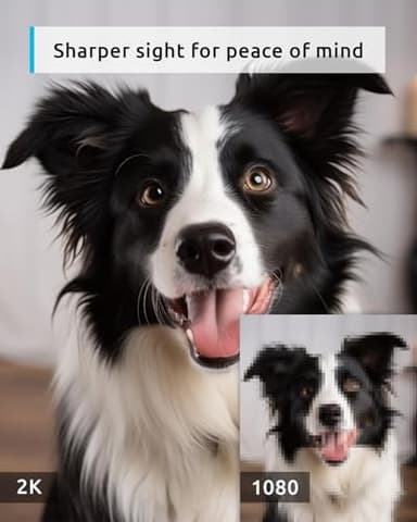 blurams Pet Camera 2K, 360° Dog Camera with Phone App, PTZ Indoor Cameras for Home Security Indoor, 2-Way Audio, Motion Tracking, Color/IR Night Vision, Siren, Cloud&SD(2.4GHz Only) - Image 2