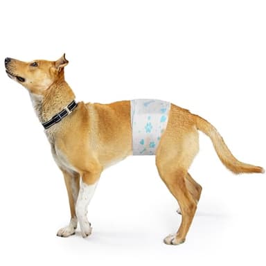 Bestle Male Dog Wrap, Disposable Dog Diapers, 40 Count, L (Waist 23.6”-31.5”), Wetness Indicator, Ultra Protection, Leak Proof, Super Absorbent, Soft - Image 3