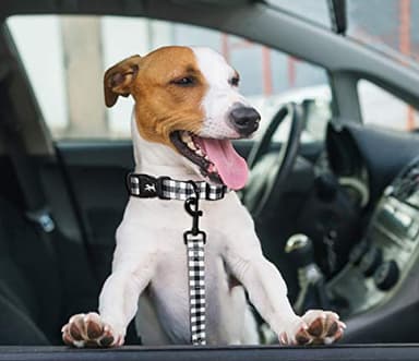 PoyPet 5 Feet Dog Leash - 2 Cushioned Handles - Functional Car Seat Belt (Grid, L) - Image 5