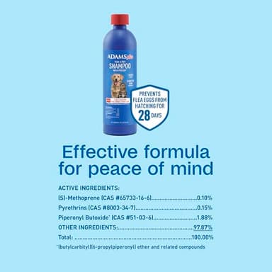 ADAMS Plus Flea & Tick Shampoo with Precor IGR for Cats, Kittens, Dogs & Puppies Over 12 Weeks of Age, Sensitive Skin Flea Treatment, Kills Adult Fleas, Flea Eggs, Ticks, and Lice, 12 Ounces - Image 8