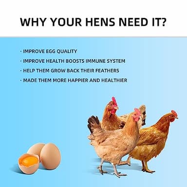 I LOVE WORMS Dried Black Soldier Fly Larvae (10lb), 100% Natural Non-GMO, Treat for Chickens, More Calcium Chicken Feed Than Mealworms - Image 5