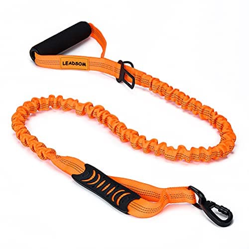 LEADSOM 6FT Highly Reflective Heavy Duty Elastic Bungee Medium and Large Dog Leash Shock Absorbing with Comfortable Padded Handle and Traffic Handle Suitable for Training - Image 1