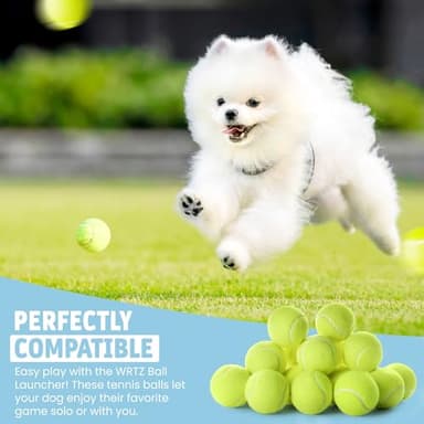 WRTZ 12 Small Tennis Balls for Dogs | 2 Inch Dog Fetch Toys for Your Smaller Pups | Non-Abrasive for Smaller Mouths | Interactive Dog Toys for Boredom & Fun | Works with Ball Launcher for Small Dogs - Image 3