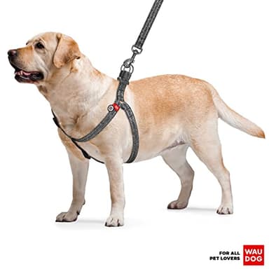 WAUDOG Re-Cotton Dog Harness Eco-Friendly Dog Harness for Small, Medium & Large Dogs - Reflective Dog Harness w/QR ID Tag - Puppy Harness for Male & Female Dogs - Image 5