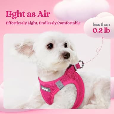 rabbitgoo Dog Harness Small Sized and Leash Set, Step in Soft Light Puppy Vest, Breathable Mesh Pet Harness, Reflective for Safe Easy Walking, Rose Red M - Image 3