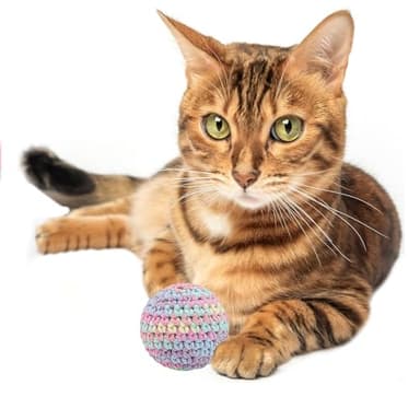 Ushang Pet Cat Toys Balls with Bell Inside, Kitten Interactive Toys, 6Pcs Colorfull Indoor Woolen Yarn Hand-Knitted Cat Chasing Balls Toy for Kitten - Image 7