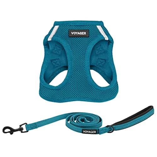 Voyager Step-in Air All Weather Mesh Harness and Reflective Dog 5 ft Leash Combo with Neoprene Handle, for Small, Medium and Large Breed Puppies by Best Pet Supplies - Set (Turquoise), XS - Image 1
