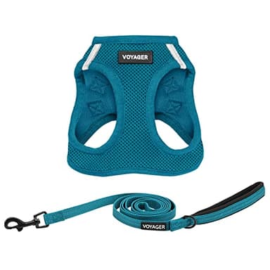 Voyager Step-in Air All Weather Mesh Harness and Reflective Dog 5 ft Leash Combo with Neoprene Handle, for Small, Medium and Large Breed Puppies by Best Pet Supplies - Set (Turquoise), XS - Image 1