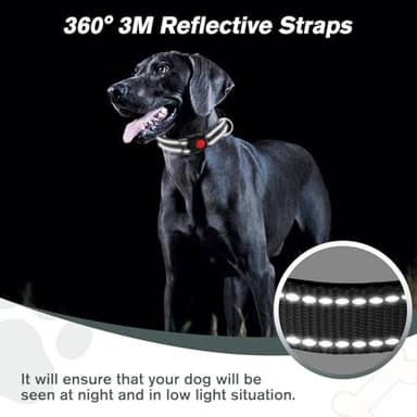 Martingale Collar for Dogs, Reflective Nylon Dog Collar with One 70.86 in Long Dog Leash, Quick Release Buckle, Adjustable Nylon Collars for Dogs Walking Training (Black M - Image 5