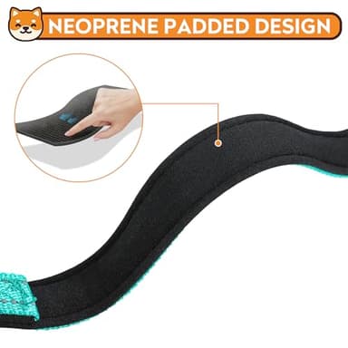 PWOD Reflective Dog Collar, Adjustable Soft Neoprene Padded Nylon Pet Collars with Buckle for Medium Dogs, Teal,M - Image 4