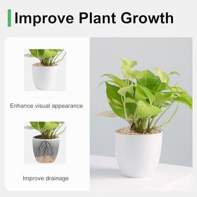 Pulovin 2.5 lbs Coarse Silica Sand for Indoor Plants, 1/5 Inch Natural Decorative Gravel for Vases, Aquariums, Terrarium, Fish Tank, Drainage Rocks for Potted Plants, Bamboo, Succulent, Crafts, Cactus - Image 3