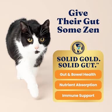 Solid Gold High Protein Dry Cat Food - Grain Free & Gluten Free Chicken Cat Dry Food w/Probiotics for Gut Health & Digestion - High Fiber & Omega 3 - Low Carb Superfood Kibble for Cats All Ages -12LB - Image 4