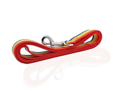 Nylon Dog Leash 4 Ft 5 Feet 6 Foot Long, Walking Training Dog Leashes for Medium Large Dogs, 1 Inch Wide (1" X 5 ft, Rainbow) - Image 3