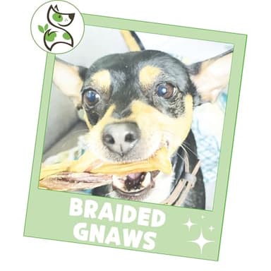 Nature Gnaws Braided Gnaws for Dogs 5-6" (3 Count) - Long Lasting for Small and Medium Dogs - Natural Beef Bully Stick Combo Braids - Rawhide Free - Image 6