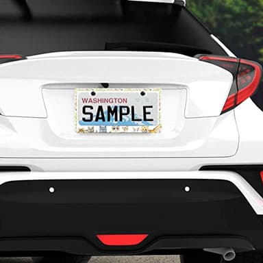 Personalized License Plate Frame Stainless Steel Cute Cat Flower Car License Plate Accessory Decorative 2 Holes and Screws Fits US Standard License Plates Size: 12.2 x 6.3 in - Image 5