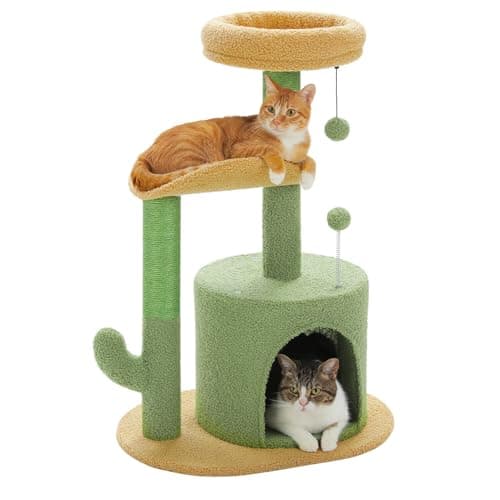 PAWZ Road Cactus Cat Tree Small Cat Tower 32” Cat Scratching Post with Curved Perch, Cozy Cat Condo, Removable Padded Top Bed for Kittens and Indoor Cats-Green - Image 1