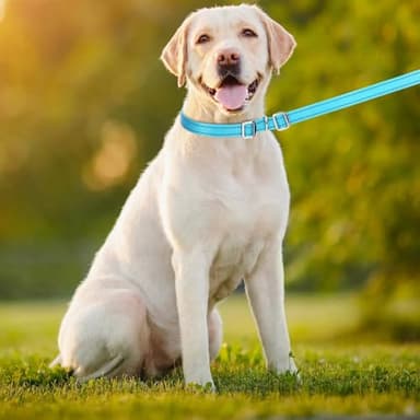 YUCFOREN 10FT 15FT 20FT Anti-Choke Long Slip Lead Dog Leash, 3/4" Wide Nylon Reflective Leash No Pull Training Lead for Medium Large Dogs (15FT * 3/4" Blue) - Image 5