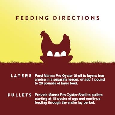 Manna Pro Crushed Oyster Shell for Chickens – Calcium Supplement for Laying Hens to Support Strong Eggshells – Natural Poultry Mineral Feed for Backyard Chickens – 5 lb Bag - Image 6