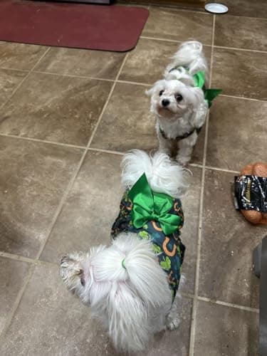 St. Patrick's Day Dog Costume Dress S, Green Shamrock and Horseshoe Print with Satin Bow, Pet Outfit for 6-7 lbs Dogs and Cats, Festive Holiday Apparel - Image 6