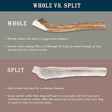 Amazon Brand - Wag Split Elk Antler, Naturally Shed, Long Lasting for Aggressive Chewers, Large (Best for Dogs 30-45 lbs) - Image 7