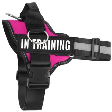 JUSTYEZI Essential Dog Harness with 3 Leash Clips - No-Pull, Adjustable, Comfortable Pet Vest Harness for Small to Large Dogs - Easy On, No Choke, Reflective, Padded Harness for Walking and Training - Image 1