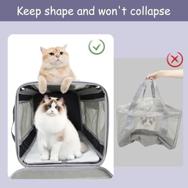 Prodigen Cat Carrier Dog Carriers for Small Dogs Soft Slided Airline Approved Collapsible Pet Travel Carrier, Small (16.3" L x 11.8" H x 12.4" W) - Image 5