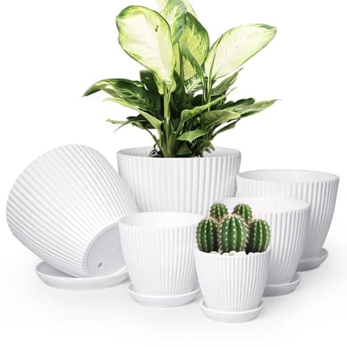 Vodotion - Plant Pots Indoor with Saucers & Drainage - 6 Pack Flower Pots - Plastic Planters for Indoor Planter - 7.5/6.6/5.8/5.0/4.3/3.5 inches Sizes for All Different Types of Plants - White - Image 1