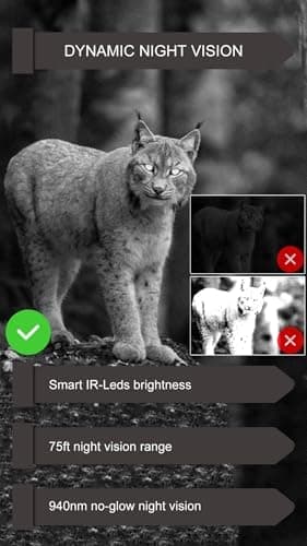 GardePro E6P Max Trail Camera, WiFi Bluetooth, Game Cameras with Rechargeable 8000mAh Battery, Built-in 32GB SD Card, 48MP 1296p, No Glow Night Vision, Motion Activated Waterproof, E6PMB - Image 7