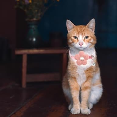 Cat Collar, HYQHYX Breakaway Kitten Collar with Flower,Rhinestone Kitty Collar with Bell, Floral Pet Collar with Safety Buckle for Cats and Puppy Dog - Image 8
