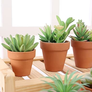 Yishang 2 inch Small Terracotta Pots with Drainage Holes,Mini Clay Ceramic Pottery Planter,Cactus Flower Nursery Terra Cotta Pots,for Indoor/Outdoor Succulent Plants,Crafts,Wedding Favor-54 Pack - Image 4