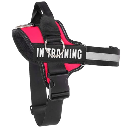 Essential Dog Harness, No Pull Pet Harness with 3 Side Rings for Leash Placement, No Choke, Reflective, Adjustable Pet Vest, Easy On-Off & Improved Control Handle, Training, Walking, Running - Image 1