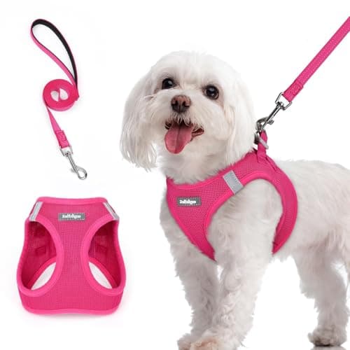 rabbitgoo Dog Harness Small Sized and Leash Set, Step in Soft Light Puppy Vest, Breathable Mesh Pet Harness, Reflective for Safe Easy Walking, Rose Red M - Image 1