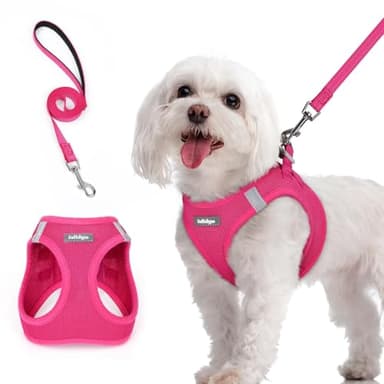rabbitgoo Dog Harness Small Sized and Leash Set, Step in Soft Light Puppy Vest, Breathable Mesh Pet Harness, Reflective for Safe Easy Walking, Rose Red M - Image 1