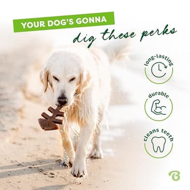 Benebone Fishbone Durable Dog Chew Toy for Aggressive Chewers, Real Fish, Made in USA, Small - Image 3