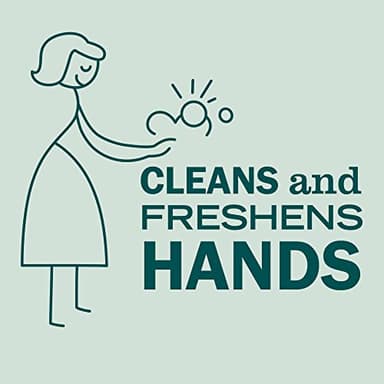 MRS. MEYER'S CLEAN DAY Liquid Hand Soap, Birchwood Scent, 12.5 fl oz (Pack of 3) - Image 4