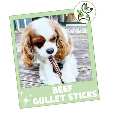 Nature Gnaws Beef Gullet Sticks for Dogs 5-6" (15 Count) - Natural Beef Jerky Stick Dog Chew Treats - Rawhide Free - Image 7