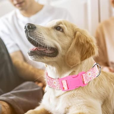 Pink Dog Collars for Small Dogs, Girl Dog Collars with Hot Daisy Flowers, Adjustable Comfy Soft Pet Collar with Safety Buckle for XS Small Medium Large Dogs(S) - Image 4