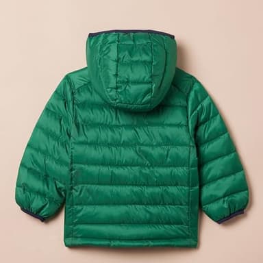 Amazon Essentials Boys' Lightweight Water-Resistant Packable Hooded Puffer Jacket, Green, Medium - Image 2