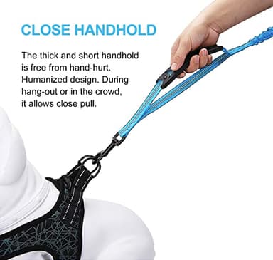 LEADSOM 6FT Highly Reflective Heavy Duty Elastic Bungee Medium and Large Dog Leash Shock Absorbing with Comfortable Padded Handle and Traffic Handle Suitable for Training Light Blue - Image 4