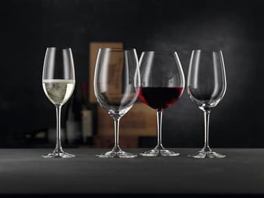 Nachtmann ViVino Champagne Glass, Set of 4 - Image 3