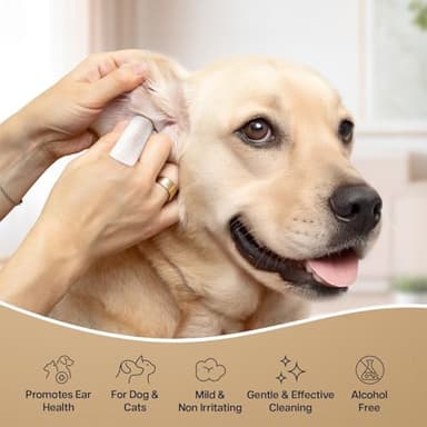 Dog Ear Wipes - 100 Value Pack - Mint Ear Wipes for Dogs, Vet Formulated Pet Ear Wipes for Dogs & Cats – Effective Dog Ear Cleaner for Itch Relief, Wax & Odor - Image 3
