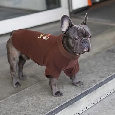 PUMYPOREITY Dog Shirt, Cute Printed Dog T-Shirt for Medium Dogs, Breathable Shirts for Dogs, Lightweight Stretchy Dog Shirt for Bichon,Shih Tzu, M, Brown - Image 5
