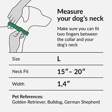 CollarDirect Martingale Collars for Dogs Heavy Duty Floral Pattern Female Safety Nylon Training Wide Collar Flower Design Large Medium (L, Neck Size 15"-20", Toffee) - Image 2