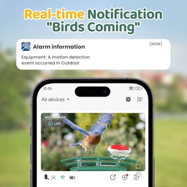 Bird Feeder with Camera Outdoor Solar: Smart Birdfeeder with AI Recognition - 2K HD Live Stream Video Camera for Outside Wild Birds Garden Decor - Bird Lover Gifts - Image 2