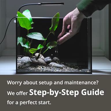 NICREW 2.5 Gallon Nano Nature Aquarium Kit, Ultra-Clear Rimless Desktop Fish Tank with Light and Filter, Perfect for Small Fish, Shrimp, or Betta, Basic Version, Black - Image 7